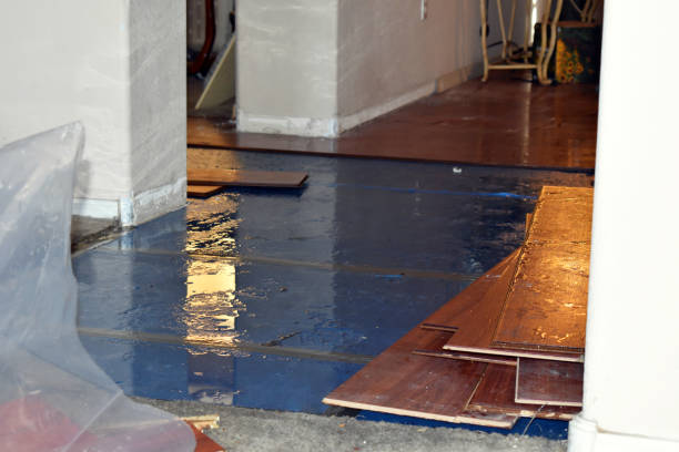 Professional Burst Pipe Cleanup technician working in Hammond, IN